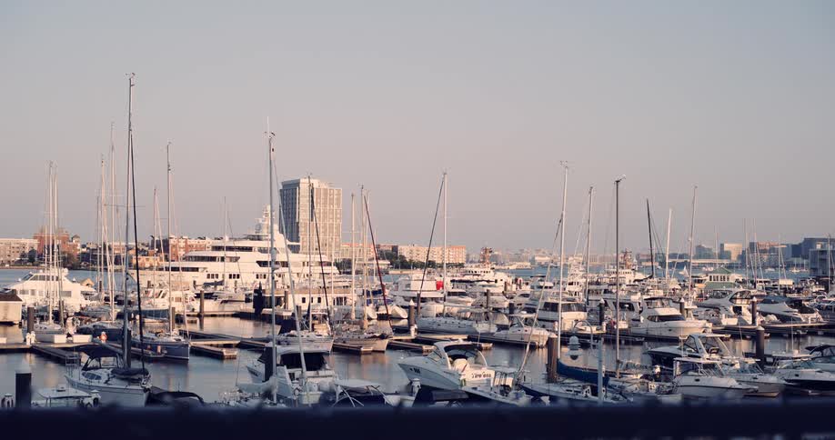 A tranquil shot of a city marina packed with docked sailboats and yachts on a clear, sunny day