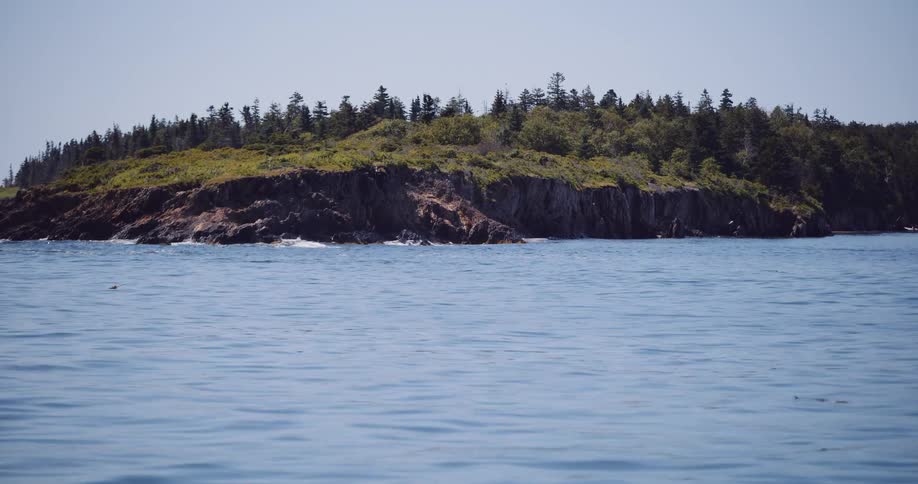 Calm ocean waves gently lap against a rocky, tree-covered coastline on a bright, sunny day
