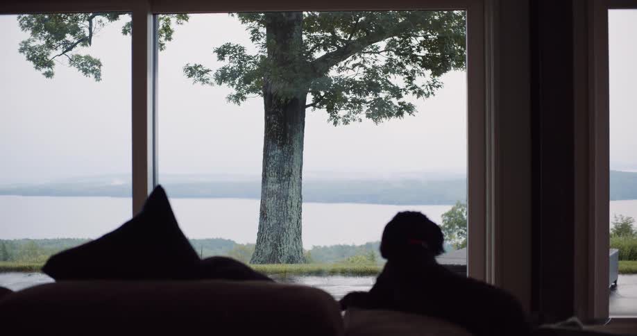 A silhouetted dog rests on a couch, looking out a large window at a serene lake and tree landscape