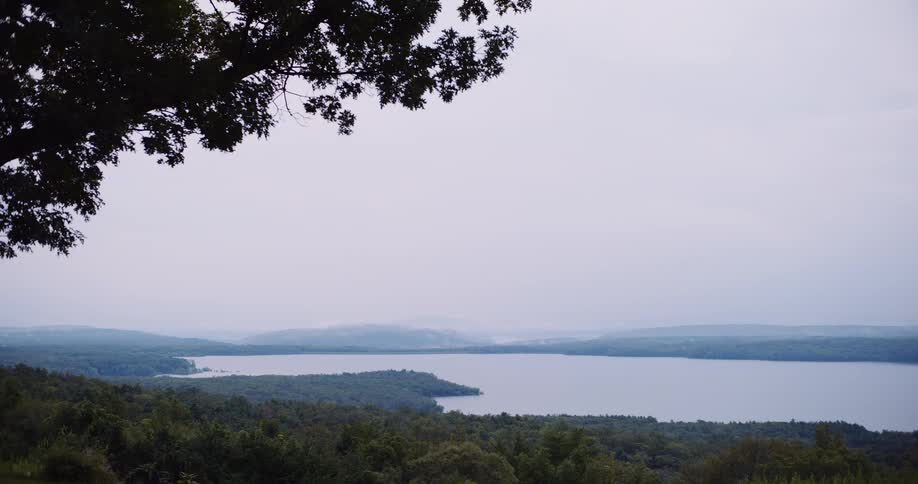 A serene view of a vast lake surrounded by a dense green forest on a misty, overcast day