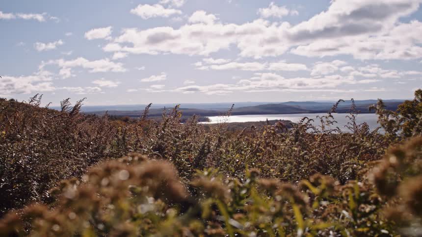 A scenic view over a field of tall, swaying grass shows a sunlit lake and rolling hills in the distance on a beautiful autumn day