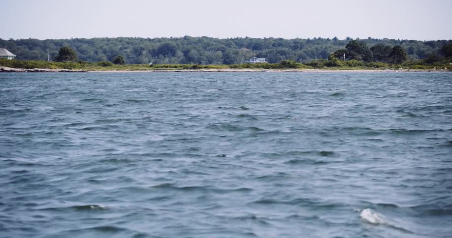 A serene view across the choppy blue water towards a distant, tree-lined coastline