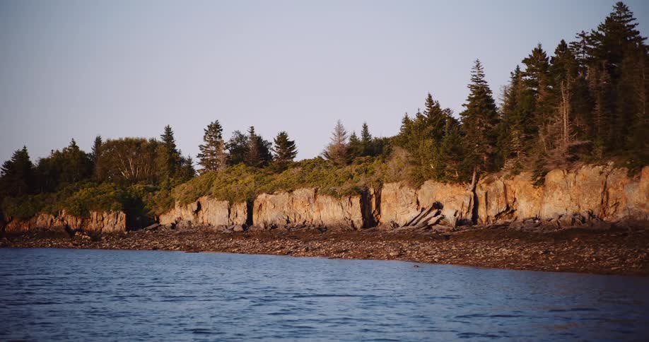 A tranquil, slow-panning shot of a rugged, forested coastline along the calm ocean at sunset