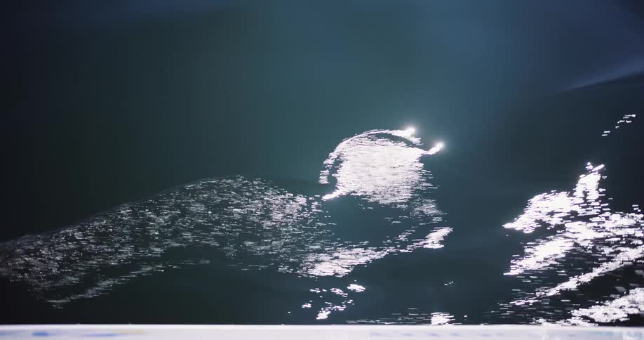 Sunlight sparkles and dances on the surface of dark, rippling water in a mesmerizing close-up