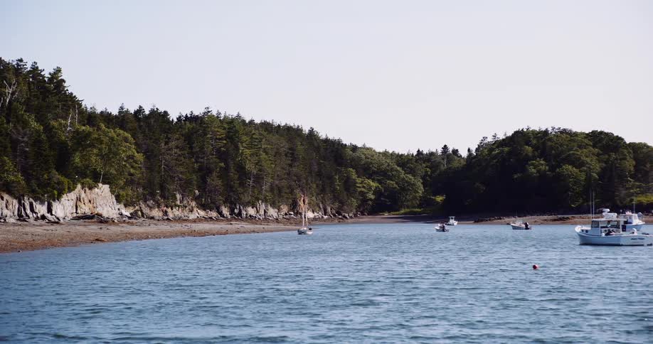 A slow pan reveals a tranquil coastal cove with sailboats and fishing boats anchored in the calm water near a lush, forested shoreline