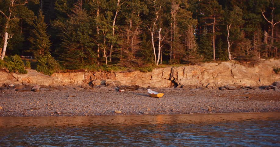 A yellow dinghy with a seagull sits on a rocky shoreline as the warm light of golden hour illuminates the scene