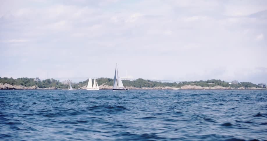 Sailboats glide across the choppy blue ocean waters near a tree-lined coast with a bridge in the distance