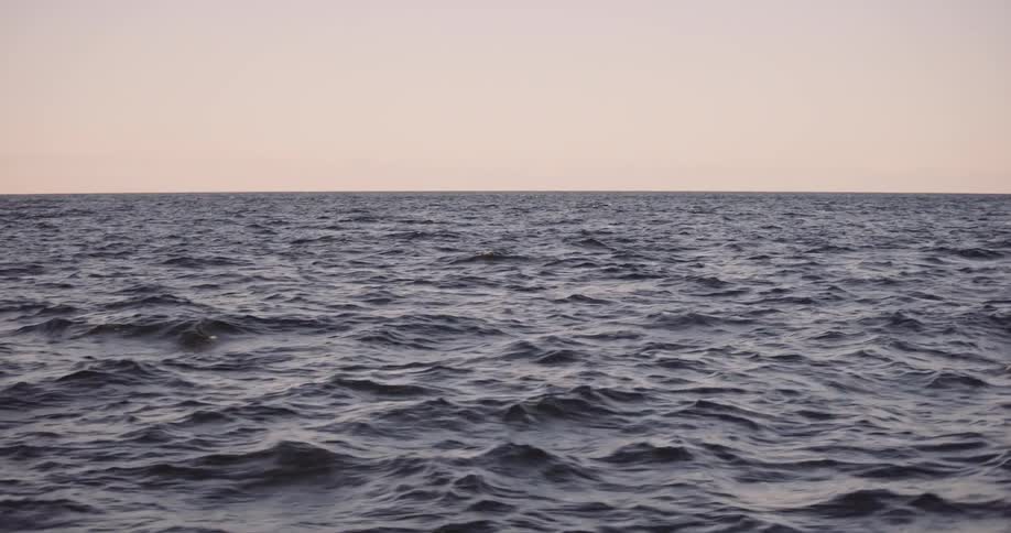 A serene, eye-level view of the deep blue ocean as gentle waves roll under a pale sky at dusk