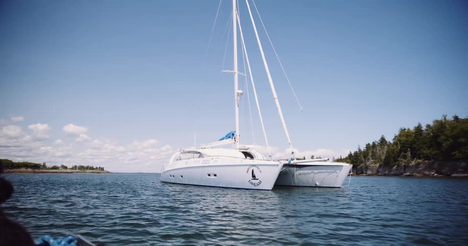 A black dog sits on the bow of a small boat as it slowly passes a large white catamaran anchored in a bay on a sunny day
