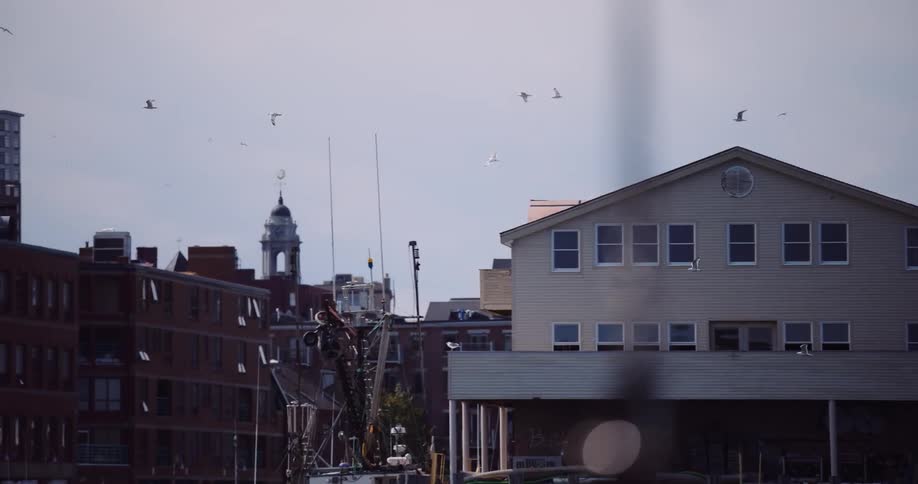 A slow pan across an industrial harbor reveals seagulls flying in slow motion over docks, warehouses, and city buildings