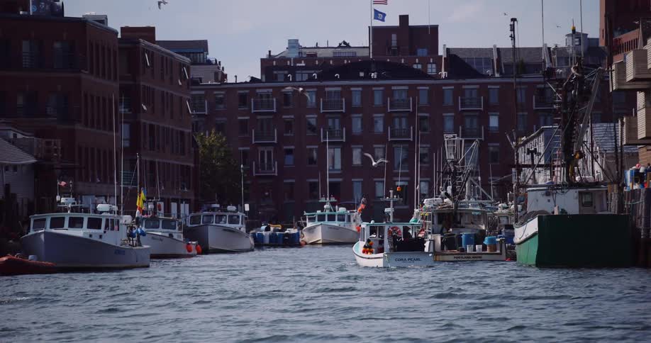 A slow-motion view of fishing boats rocking on the water in a bustling urban harbor in Portland, Maine