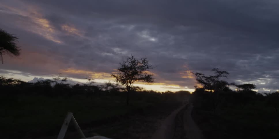 Driving down a path surrounded by small trees on a cloudy evening as the sun sets