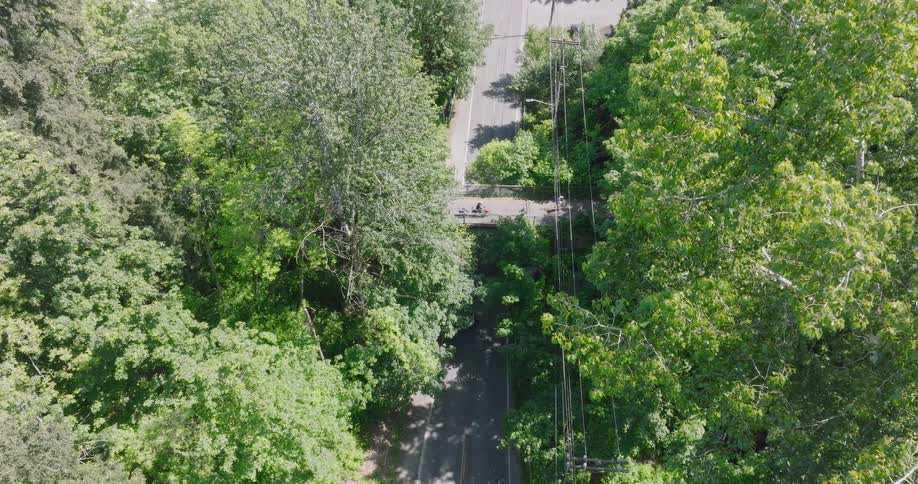 A static aerial view shows cars driving under a bridge as cyclists cross over, surrounded by a lush green forest on a sunny day