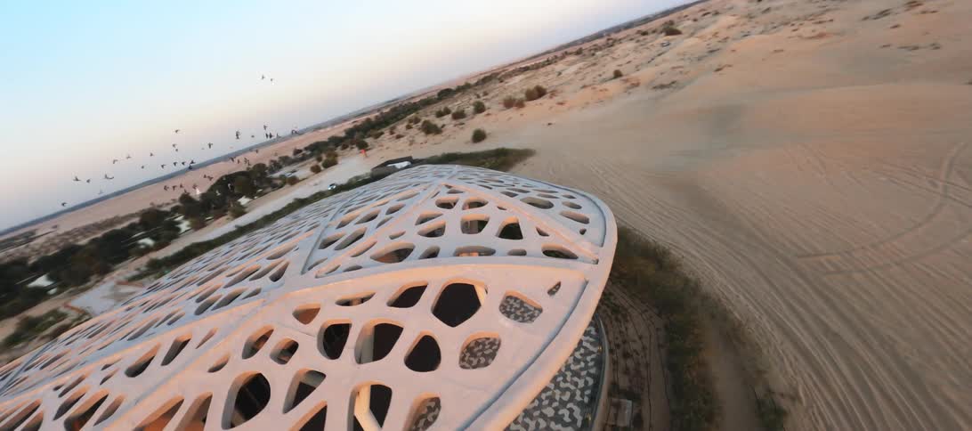 A flock of birds flies over a unique modern building with a latticed roof, revealing the structure amidst the vast desert landscape at sunrise