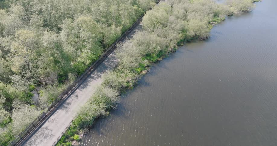 A man rides a bike along a wide boardwalk nestled between a tranquil lake and green forest