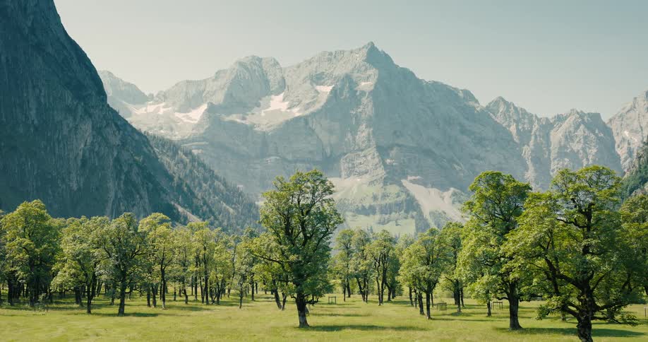 The idyllic Ahornboden valley in Austria, where ancient maple trees dot a vibrant green meadow beneath the towering Karwendel Alps