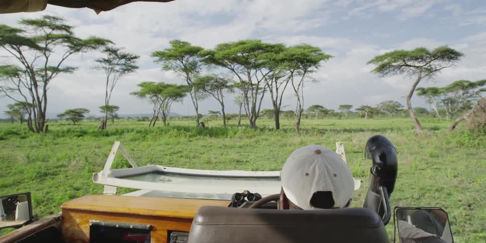 Person wearing a white cap driving a safari vehicle on an open plain