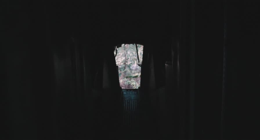 A static shot from inside a dark, abandoned train car looking out through an open doorway at a lush, sunlit forest
