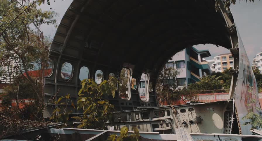 A low-angle view of an abandoned airplane's empty fuselage being reclaimed by nature in a city junkyard