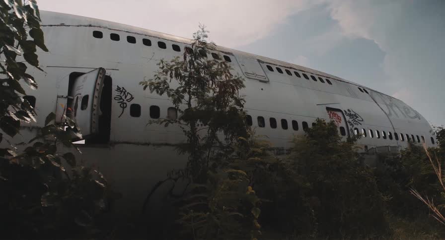The weathered fuselage of a graffitied and abandoned jumbo jet is reclaimed by nature in an overgrown field