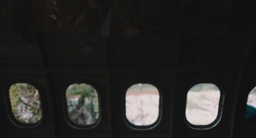 An eerie view from inside a dark, abandoned airplane fuselage shows a blurry forest through the passenger windows