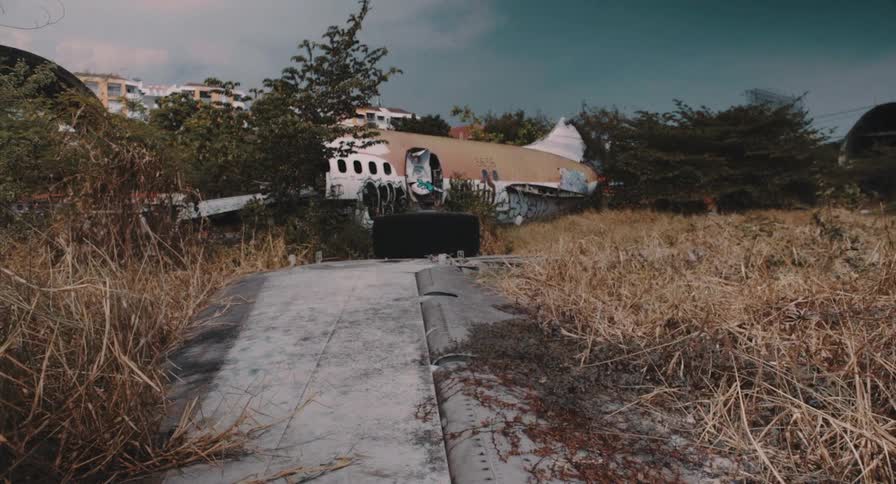 Static shot from the wing of an abandoned and decaying airplane overgrown by nature in a forgotten junkyard