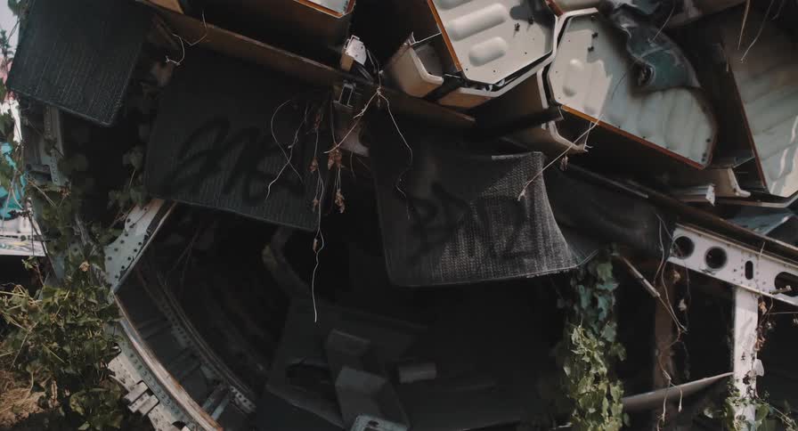 The decaying interior of a dismantled airplane is covered in graffiti and overgrown with plants