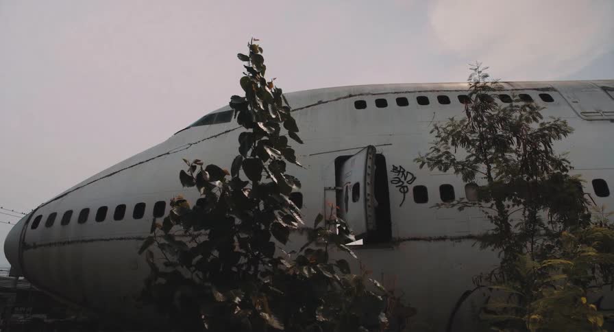 A static, low-angle shot of a decaying, abandoned Boeing 747 jumbo jet overgrown with trees in an airplane graveyard