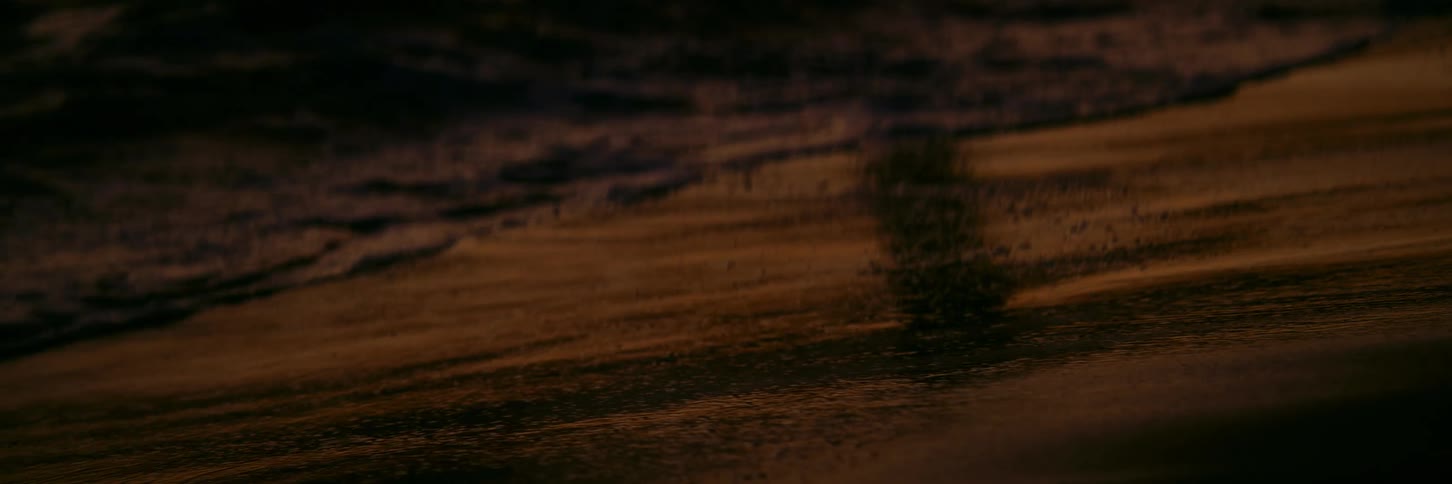Tranquil ocean waves slowly wash over the sandy shore, glowing with the golden light of sunset