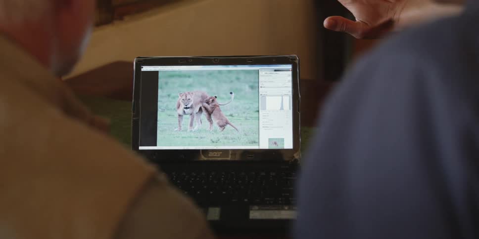 People viewing a photograph of a lion on a laptop