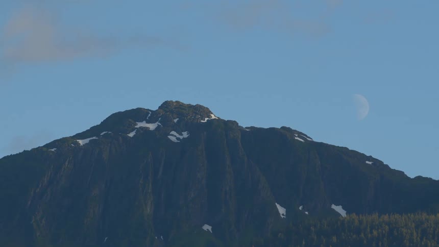 Two birds fly in front of a majestic snow-capped mountain peak with a half-moon in the clear blue sky