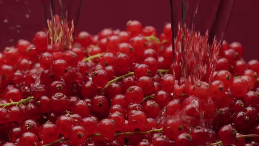 Water streams wash over a pile of fresh red currants in a vibrant slow-motion close-up