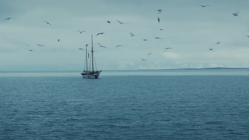 A classic sailboat sits on the vast, tranquil ocean under a cloudy sky, surrounded by a flock of flying seagulls