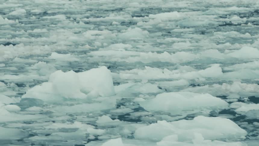 A slow zoom out reveals a vast expanse of broken sea ice gently drifting in the cold arctic water