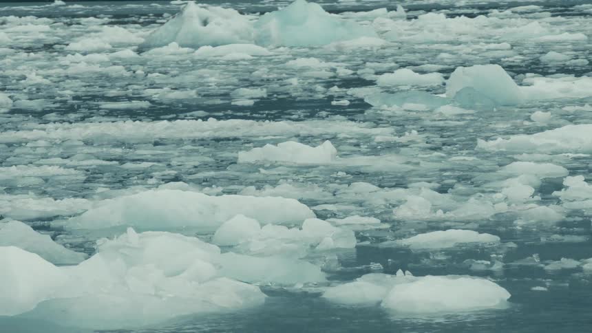 A sea of melting icebergs and sea ice gently floats and drifts in the cold arctic ocean water