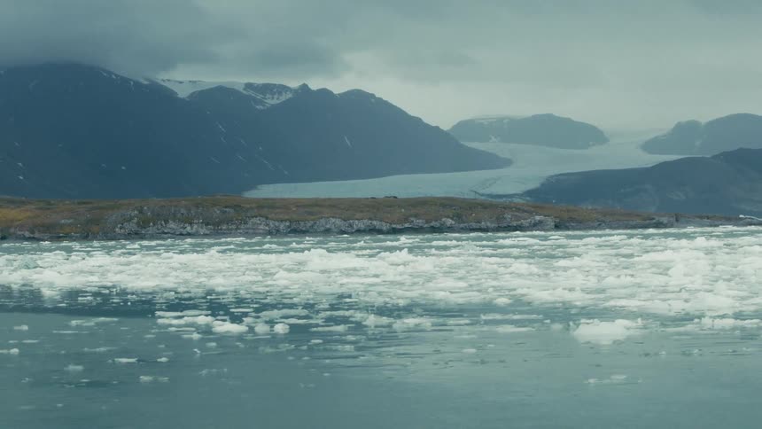 Floating icebergs drift in the calm waters of an arctic bay with glaciers and mountains in the background