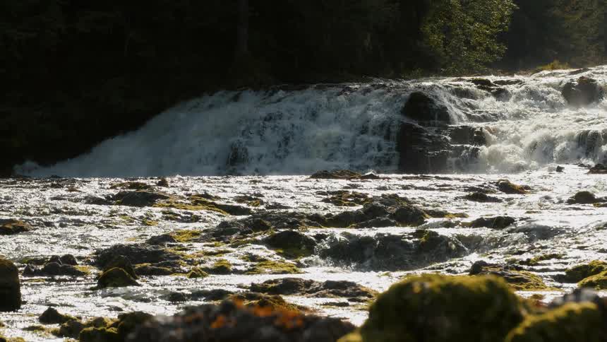 A wide, powerful waterfall cascades over rocks in a sunlit river surrounded by a dense, dark forest