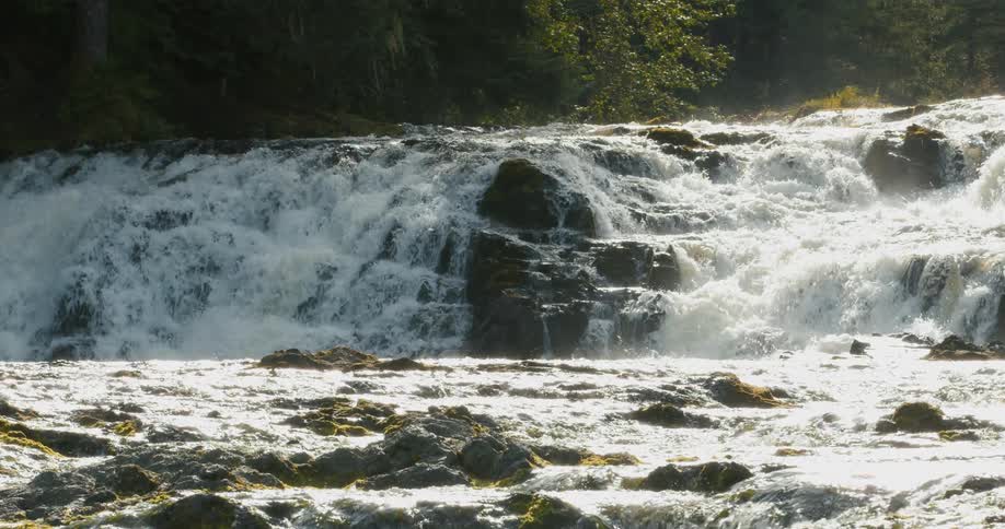 A slow pull-back shot reveals a powerful, wide waterfall cascading over dark, mossy rocks in a sun-drenched forest