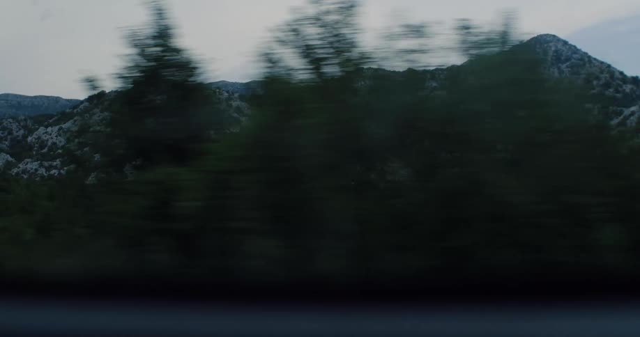 A moody point-of-view shot from a moving car captures the blur of trees passing by a rocky mountain range on an overcast day