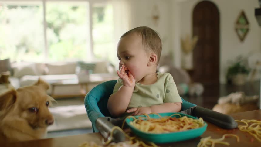 A baby in a high chair eats spaghetti with their hands while a cute dog begs for a bite