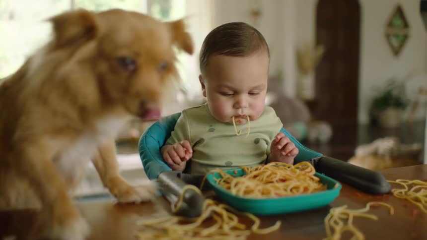 A cute baby and their dog share a messy meal of spaghetti at the dining room table