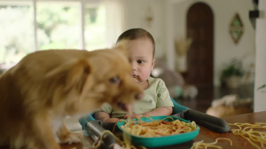 A cute baby watches with a serious face as a dog eats messy spaghetti off the table
