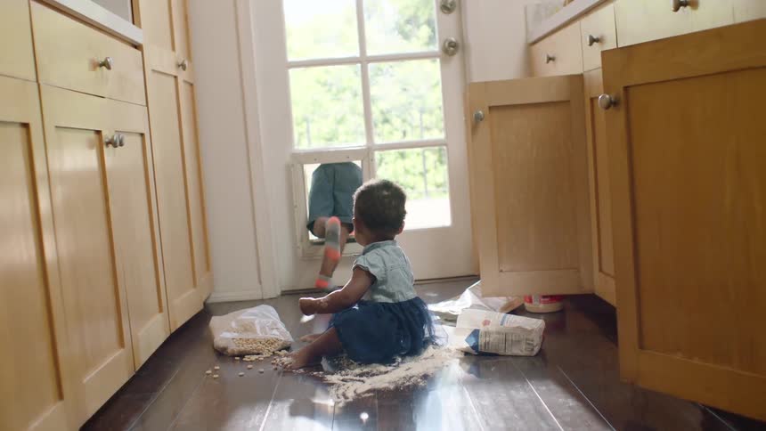 Mischievous siblings make a mess in the kitchen, spilling flour and cereal while one crawls out the pet door