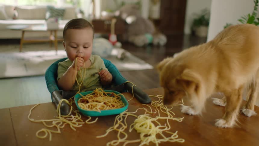 A cute and messy baby eats spaghetti at the dinner table while the family dog eats the noodles off the table