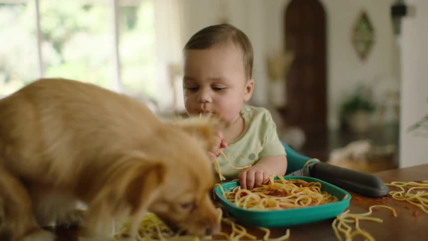 A cute baby eats spaghetti with their hands while their pet dog cleans up the messy noodles from the table