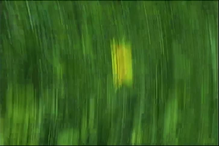 A fast and blurry spinning view creates an abstract and dizzying perspective of a green field with yellow flowers