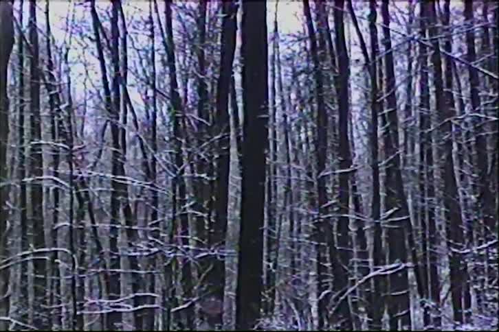 Vintage VHS footage slowly pans across a dark, snow-dusted forest in the winter