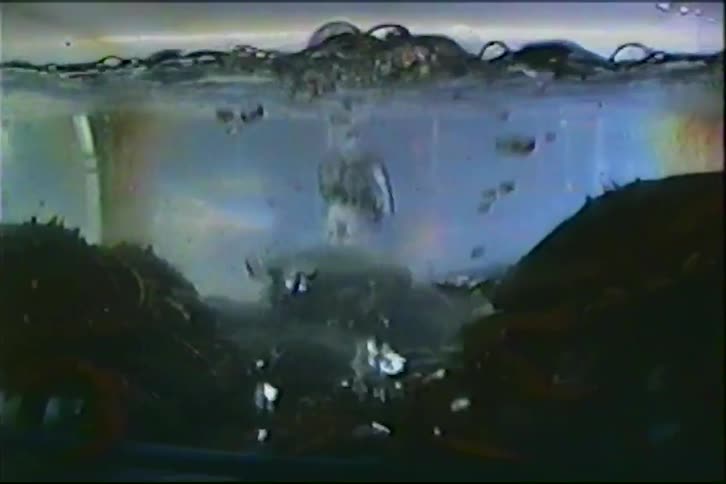 A close-up of two dark lobsters cooking in a large pot of boiling, bubbling water