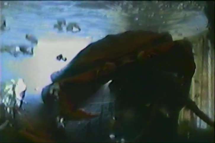 A vintage close-up of a lobster resting in a bubbling aquarium