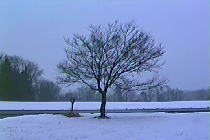 A vintage VHS time-lapse shows a single tree changing from a vibrant green spring to a snowy, bare winter